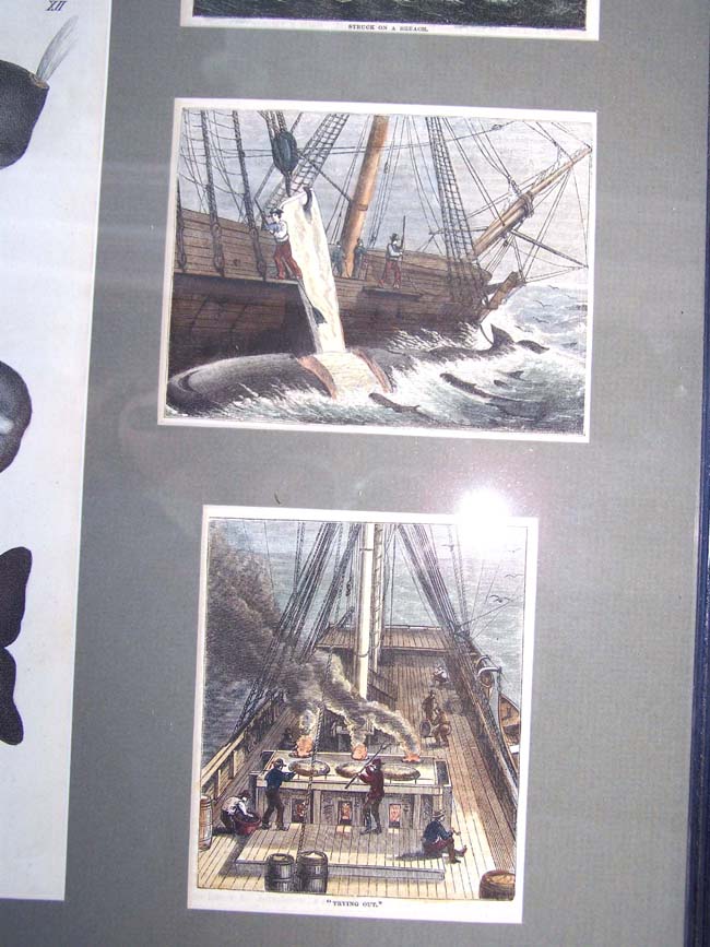 A framed grouping of 19th century Whaling related items — image 5